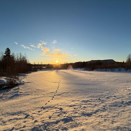 Ljungaverk Takvaning Med Ekgolv Och Badkar Naera Aelven 外观 照片