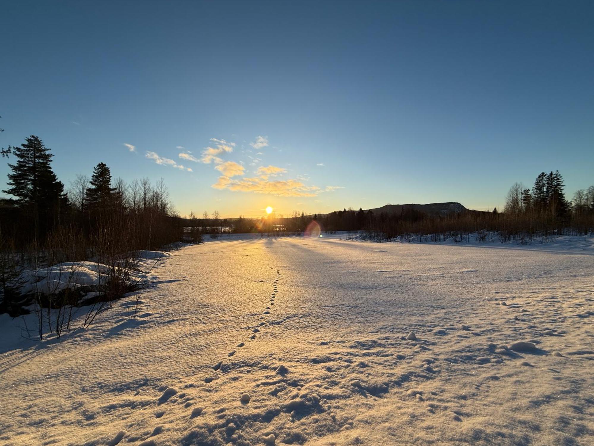 Ljungaverk Takvaning Med Ekgolv Och Badkar Naera Aelven 外观 照片